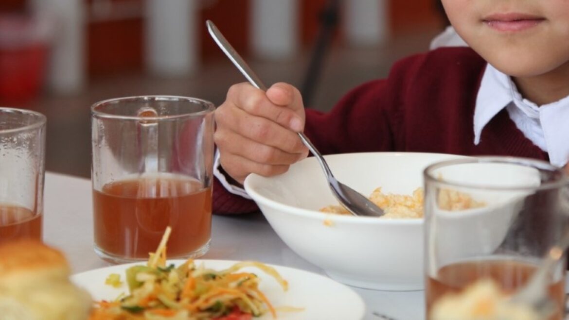 школьные обеды