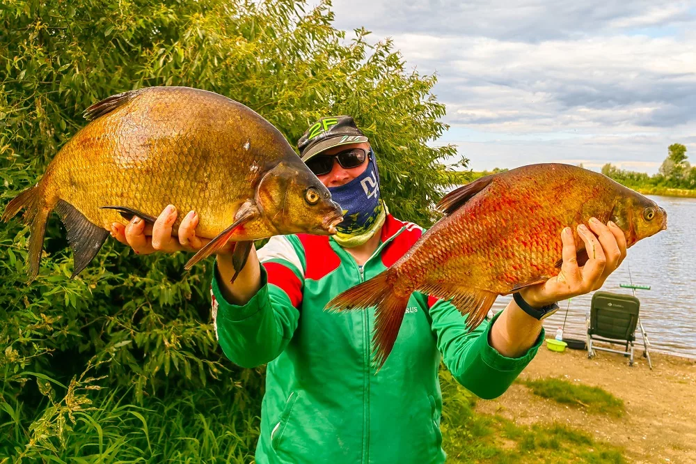 Рыбак ловит трофейных лещей… но рыбу не ест Кирилл Кириленко из Гомеля ловит в Днепре трофейных лещей