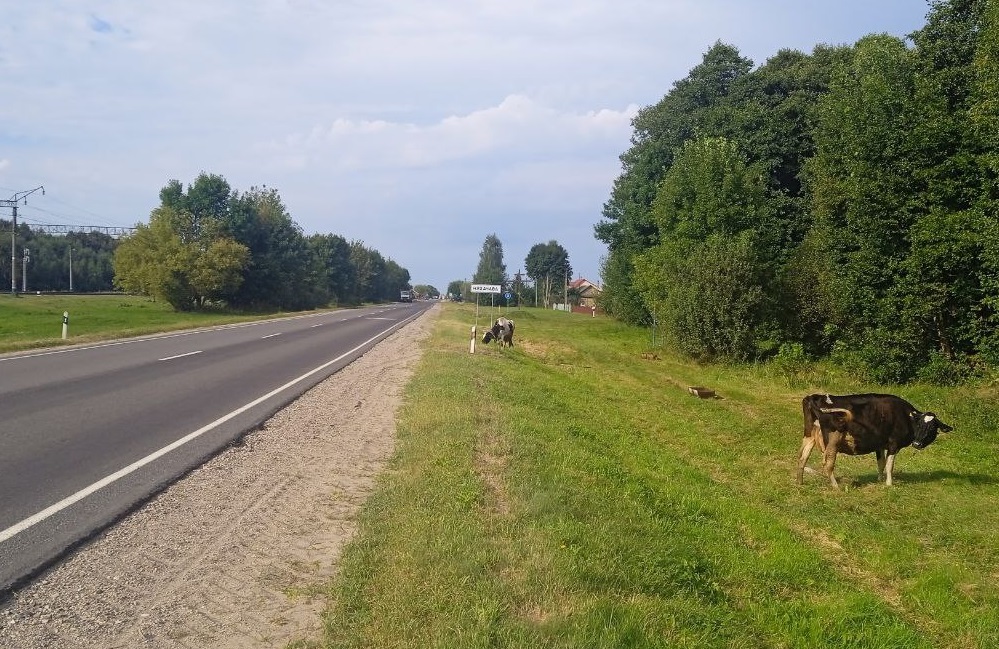 На въезде в Нехачево