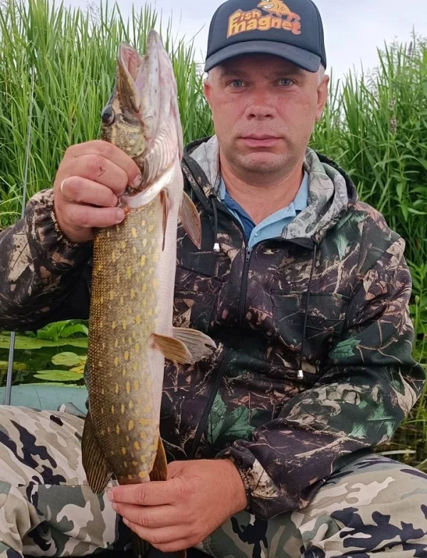 Андрей Пашкевич