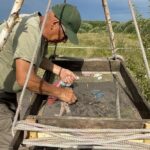 Археолог из АН Беларуси на раскопках, Брестская область, август 2024