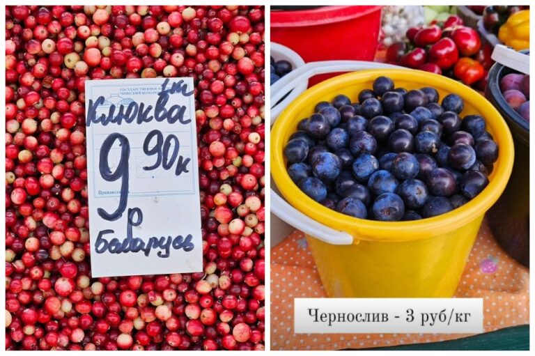 Картошка дешевеет, появилась клюква. Что почём на рынках в Минске, Бресте, Гомеле, Ивацевичах 0 (0) Цены на Комаровке в Минске 6 сентября 2024 года