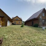 беловежская пуща