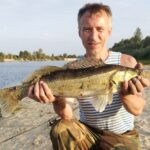 Рыбалка на судака на Припяти