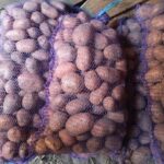 Картошка "першацвет" по 80 копеек в Ольшанах