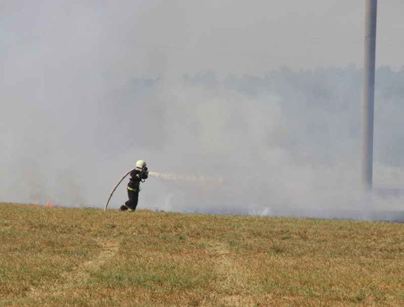 Пожарный тушит поле в Дрогичинском районе