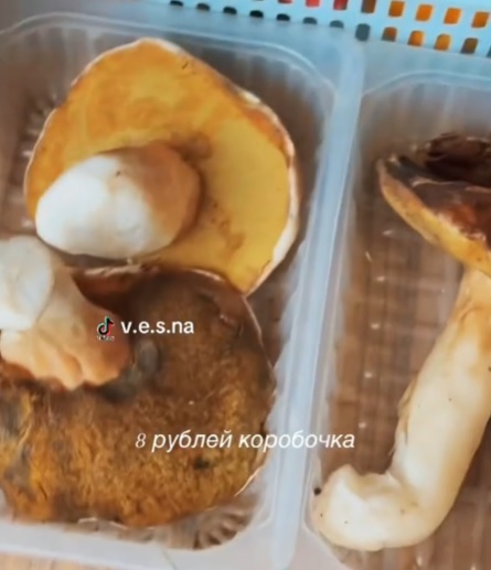Целая коробка боровиков!