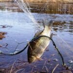 браконьерство