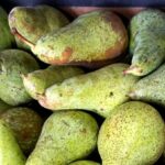 Груши из Беларуси не пустили в Россию