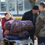 Картофель на ярмарке в Ивацевичах