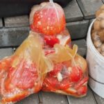 Мухоморы на рынке в Гомеле