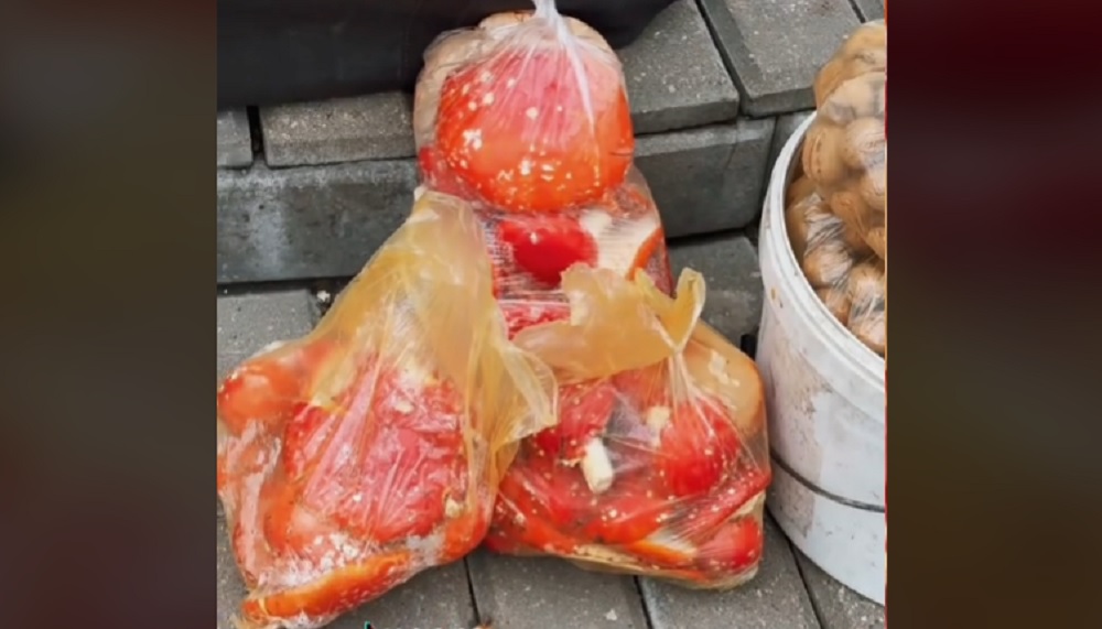 На рынке продавали мухоморы. А что, так можно? Мухоморы на рынке в Гомеле