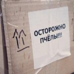 Какие необычные грузы возят дальнобойщики