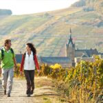 Виноделие в Германии