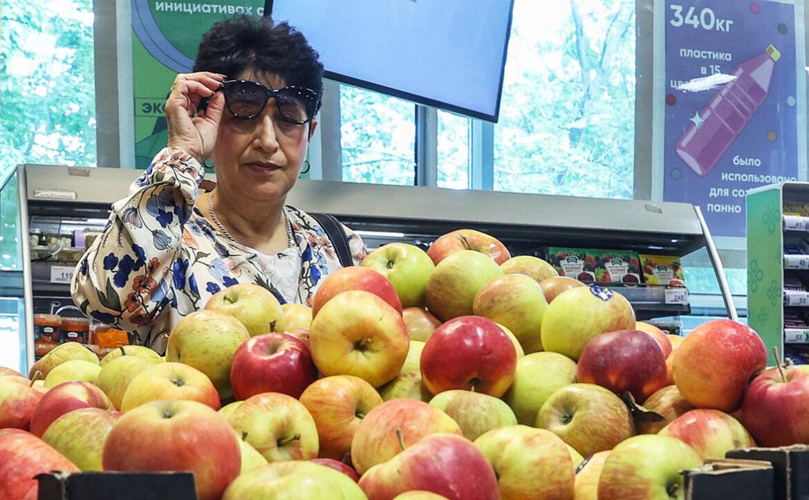 Сколько теперь будет стоить картошка и яблоки в Беларуси и зачем ограничили цены яблоки