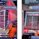 Контрабанда яблок из Польши