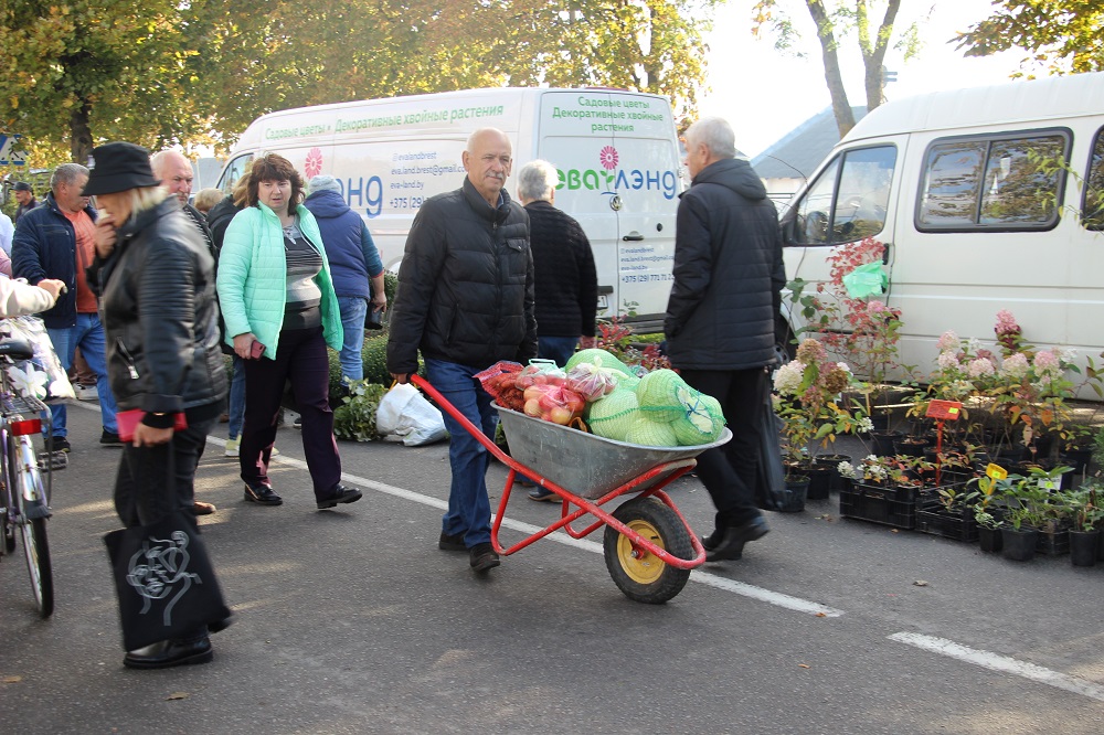 Когда в Брестской области пройдут ярмарки. Афиша по городам