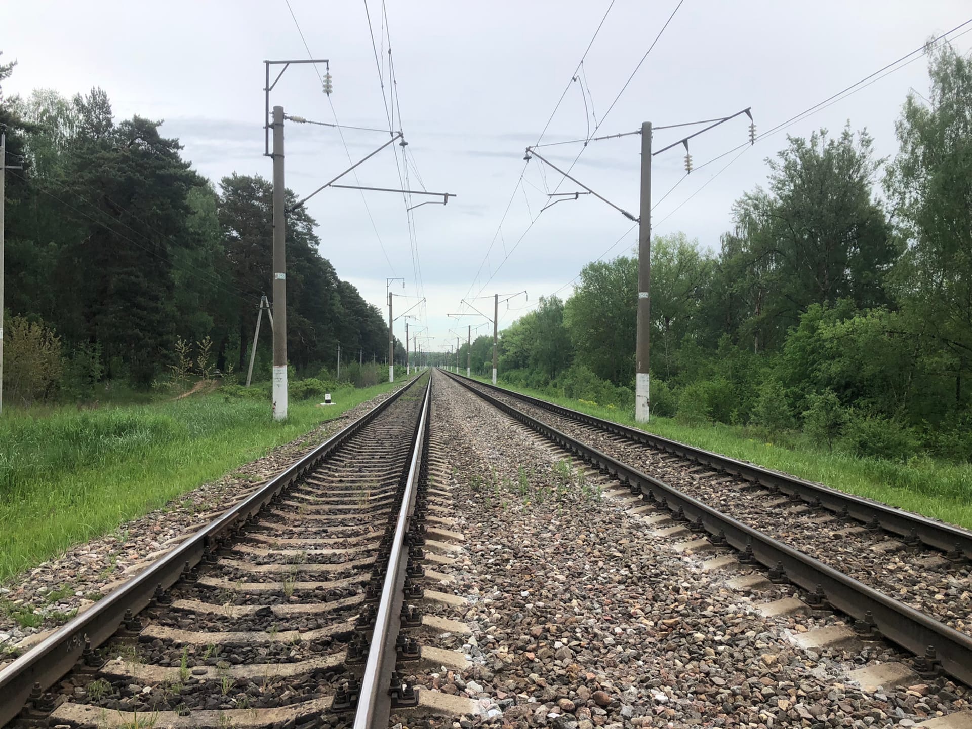 Парень погиб, когда семья решила перебежать перед поездом возле Жабинки