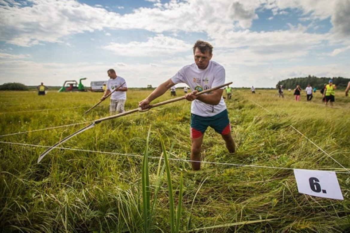 Косит траву