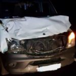 Авария с лосём в Ивацевичском районе