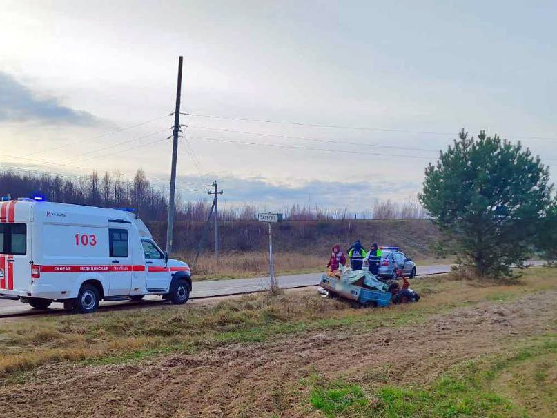 Пенсионер упал с мотоблока и погиб в Столбцовском районе