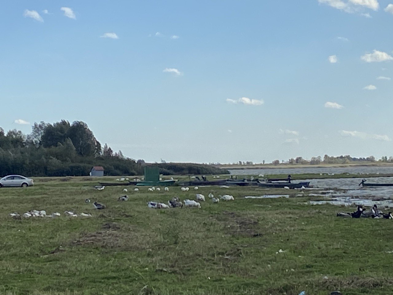 В Столинском районе жители накатали жалобу в КГК и обвинили фермера