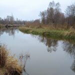 Погода в Беларуси