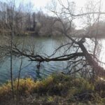 Погода река