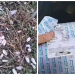 Странная находка в реке в Брестском районе удивила рыбака