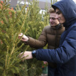 Советы для тех, кто хочет правильно выбрать ёлку