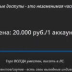 Юный хакер выставлял на продажу ворованные аккаунты