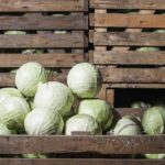 За цены на свою продукцию фермеры получили штраф