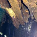 Гнилой бус попался в Германии