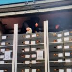 Мигранты в фуре дальнобойщика