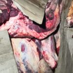 Из России в Беларусь вернули тонну говядины