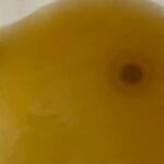 Ржавая вода