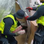 задержали в Литве