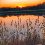 Рыбалка - это уединение с природой