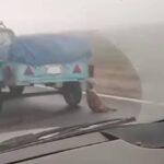 Собаку волочат