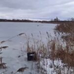 Водоём в Кричевском районе