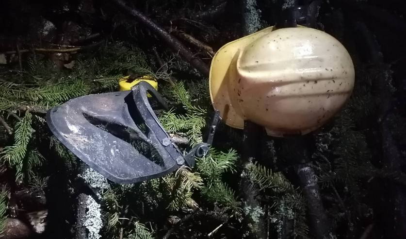 Спиленная ёлка убила человека в Брестской области Ёлка