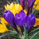 погода апрель