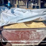 Кукурузу нашли у сельчанина в Дрогичинском районе