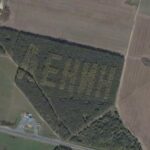 Надпись деревьями Ленин