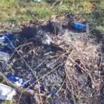 Мусор на рыбалке