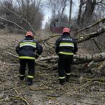Ветер ломал деревья