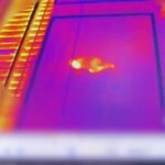 Американец ехал в поезде