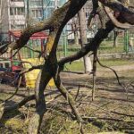 Ребёнок получил травму в детском саду