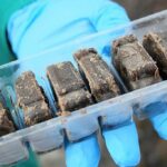 Брикеты от бешенства