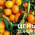 Цены на рынке